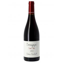 Bourgogne 2023 Pinot Noir - Antoine Lienhardt