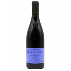 Marsannay 2022 Clos du Roy - Sylvain Pataille