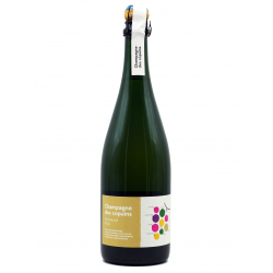 Champagne des Copains - Olivier Horiot