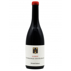 Vendange Integrale 2023 Gamay - Mickael Salmon